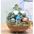 แจกันแก้วใสแบบต่างๆ Terrarium